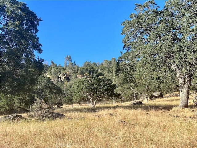 5278 Cya Rd, Mariposa CA, 95338 land for sale