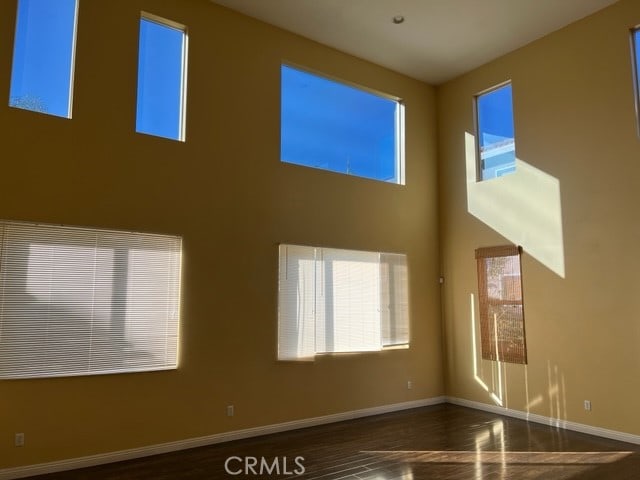 interior space featuring a healthy amount of sunlight, a towering ceiling, and dark hardwood / wood-style floors