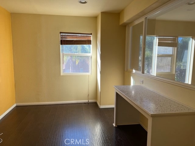 interior space with dark wood-type flooring