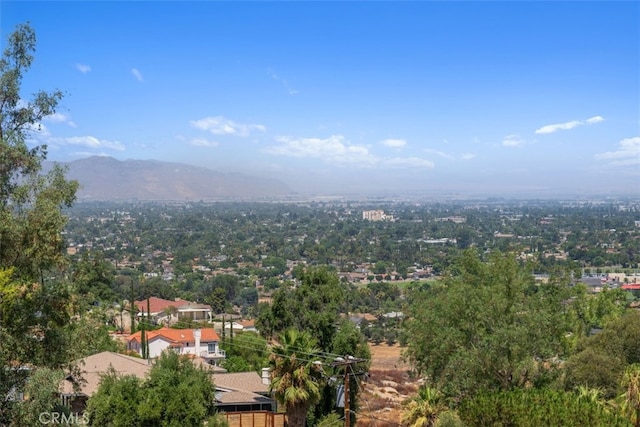 birds eye view of property featuring a mountain view