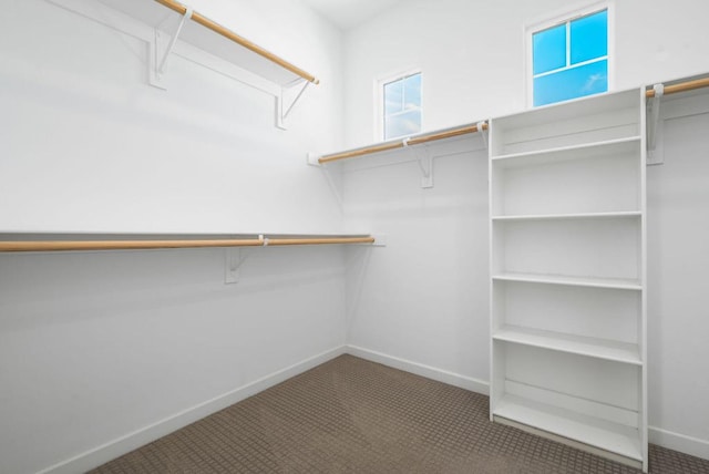 walk in closet featuring carpet flooring