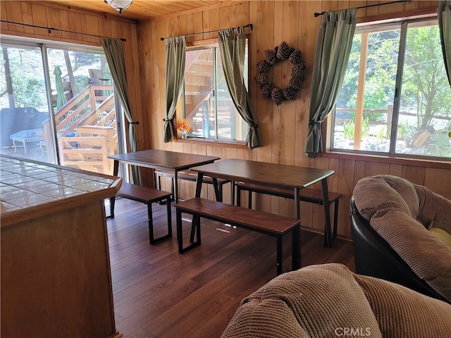 dining space featuring wood walls, dark wood-type flooring, and plenty of natural light