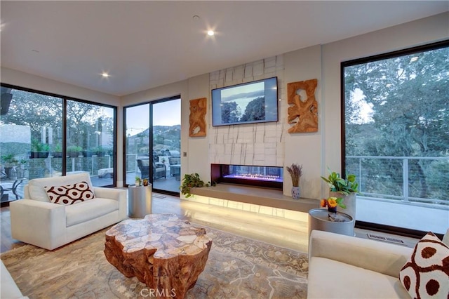 living room with hardwood / wood-style floors and a large fireplace