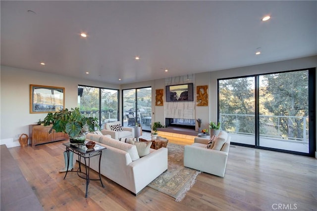 living room featuring a fireplace and light hardwood / wood-style flooring