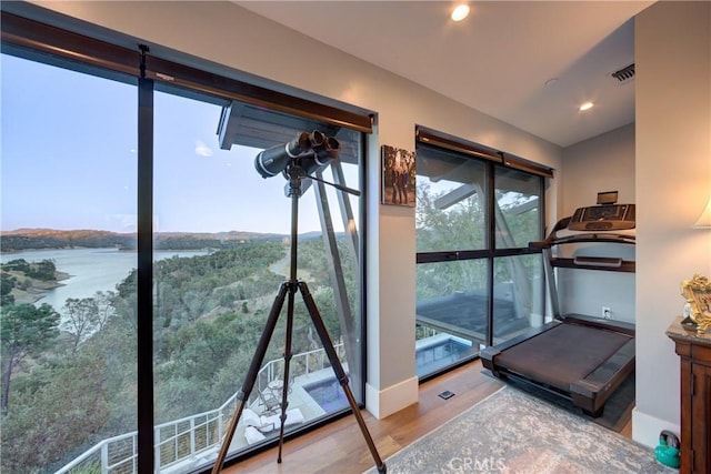 workout area featuring a water view, a healthy amount of sunlight, and hardwood / wood-style flooring