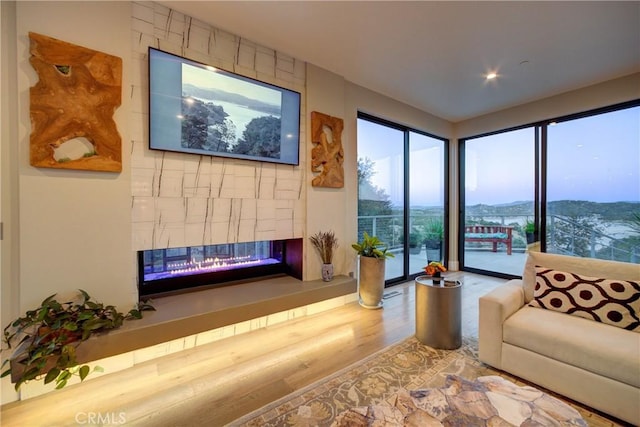 living room with hardwood / wood-style flooring and a multi sided fireplace