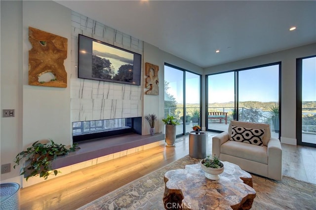 living room with hardwood / wood-style flooring and a fireplace