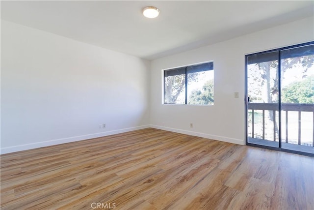 empty room featuring a wealth of natural light and light hardwood / wood-style floors