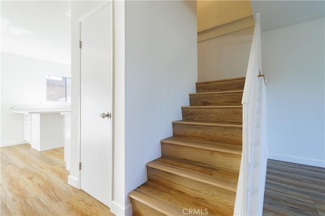 staircase featuring wood-type flooring