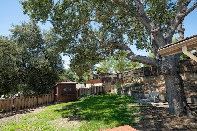 view of yard featuring a storage unit