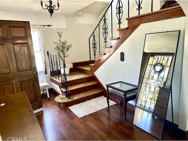 foyer with dark wood-type flooring