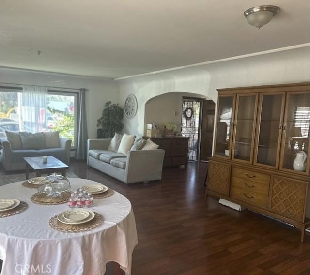 living room featuring crown molding and dark hardwood / wood-style flooring