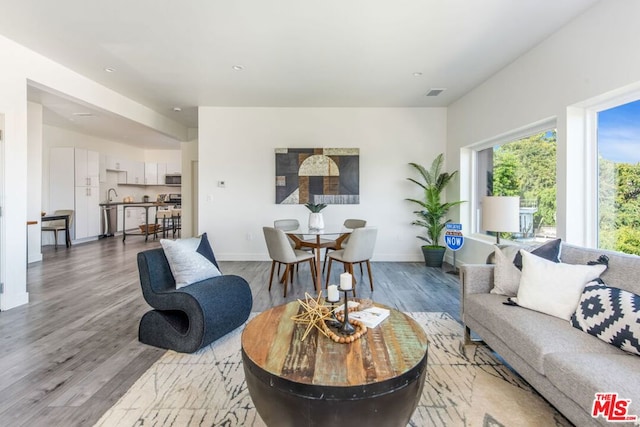 living room featuring hardwood / wood-style floors