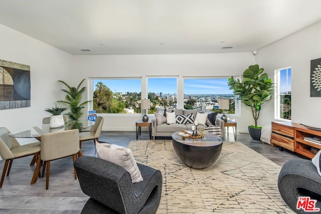 living room with hardwood / wood-style flooring