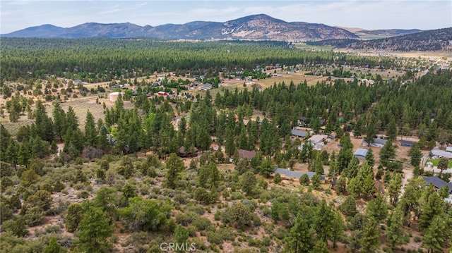 drone / aerial view with a mountain view