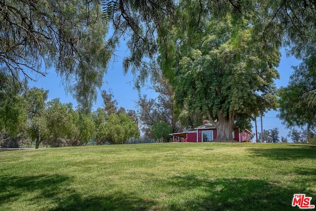 view of yard with an outdoor structure