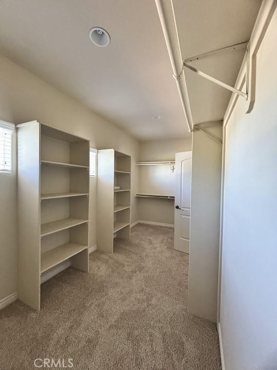 walk in closet with carpet floors