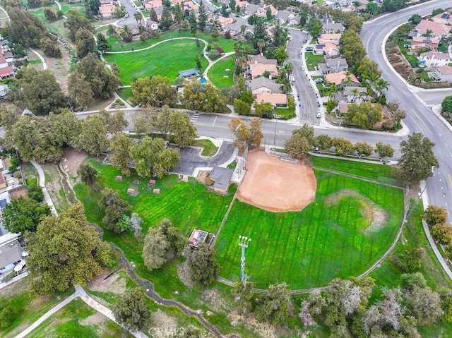 bird's eye view