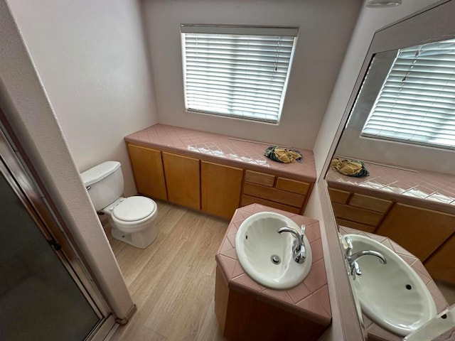 bathroom featuring toilet, sink, and wood-type flooring