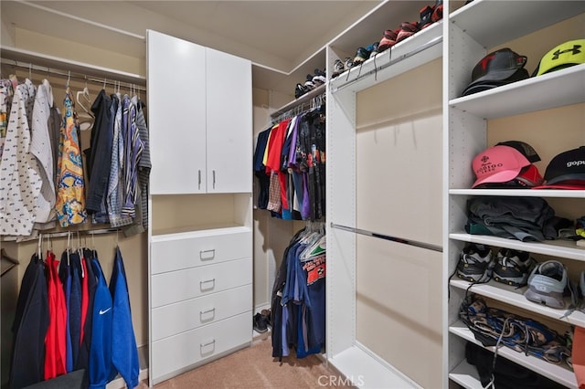 spacious closet featuring light colored carpet