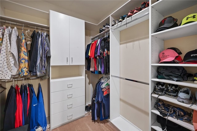 72948 Willow St, Palm Desert, CA 92260 - walk in closet with carpet