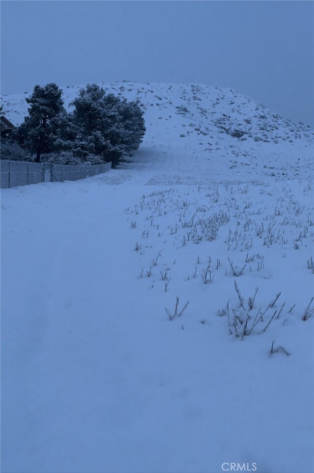 9197 Northside Dr, Leona Valley, CA 93551