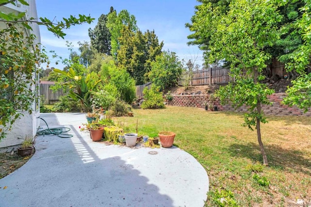 view of yard with a patio