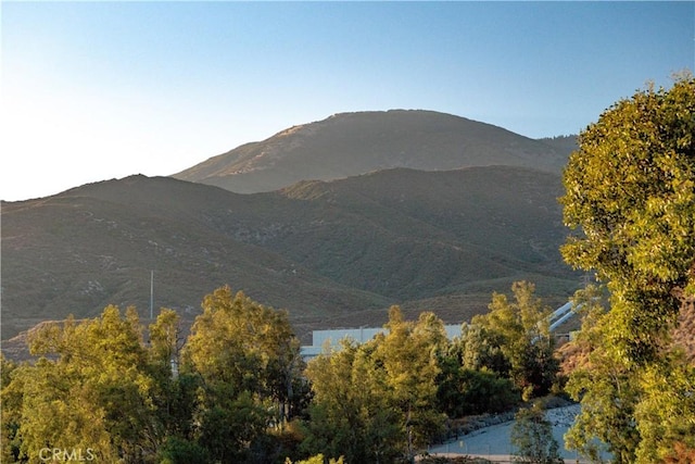 6555 Devils Canyon Rd, San Bernardino, CA 92407 - photo 8