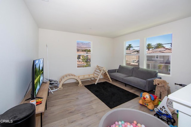 living room with a healthy amount of sunlight and light hardwood / wood-style flooring