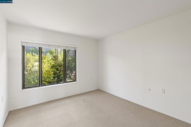 unfurnished room featuring carpet flooring