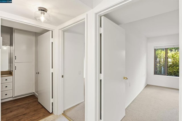 hallway with carpet floors