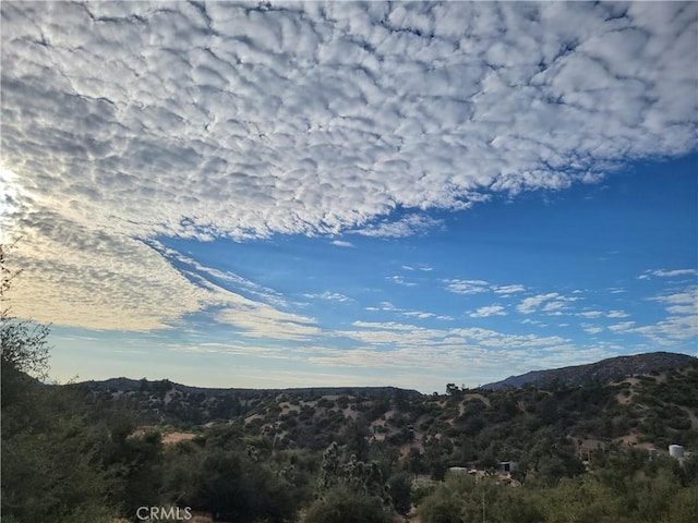 3131 Whispering Pines Rd, Wrightwood, CA 92397 - mountain view