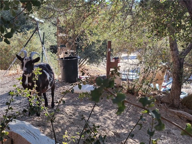 3131 Whispering Pines Rd, Wrightwood, CA 92397 - view of yard