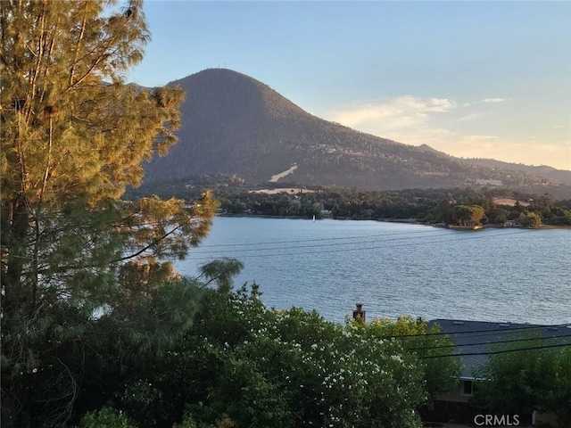 9085 Leila Dr, Glenhaven, CA 95443 - photo 5