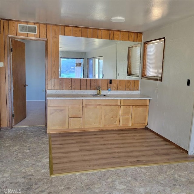 bathroom with wooden walls, hardwood / wood-style floors, and sink