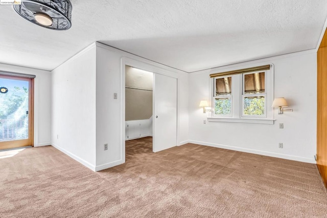 spare room with carpet floors and a textured ceiling