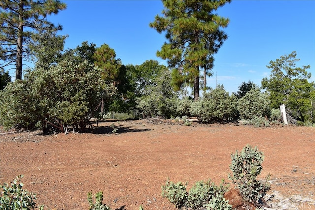 0 Incense Cedar Trl, Groveland CA, 95321 land for sale