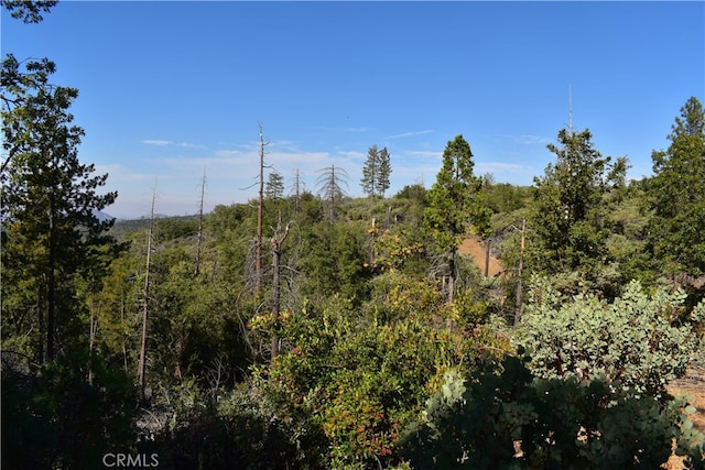 Listing photo 3 for 0 Incense Cedar Trl, Groveland CA 95321