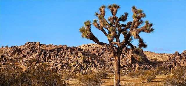 800 Adobe Mountain Rd, Adelanto CA, 92301 land for sale