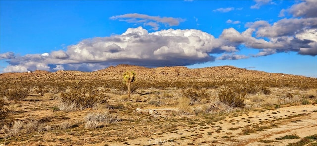 Listing photo 3 for 800 Adobe Mountain Rd, Adelanto CA 92301