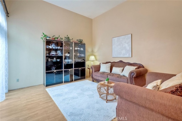 living room featuring hardwood / wood-style flooring