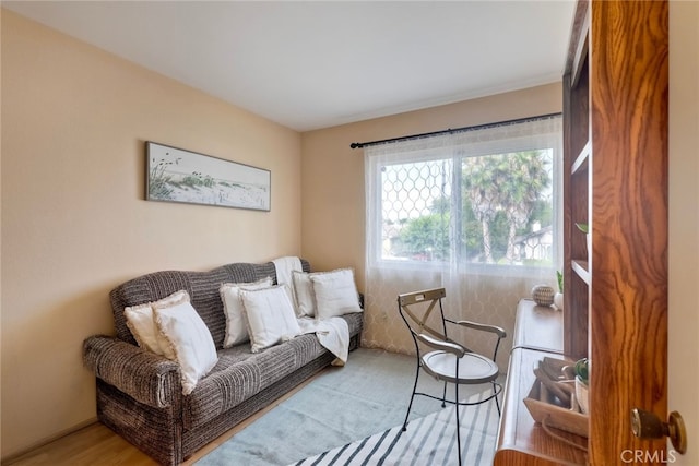 living room featuring light hardwood / wood-style flooring