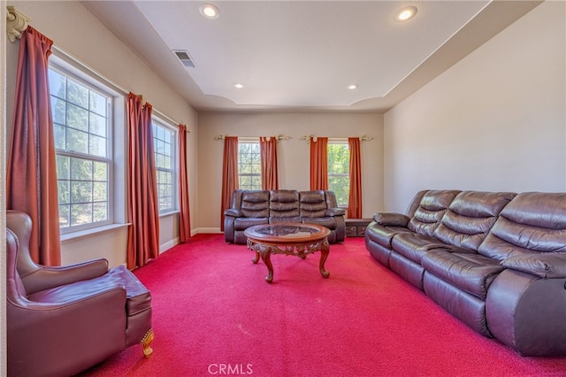 living room with carpet and a wealth of natural light