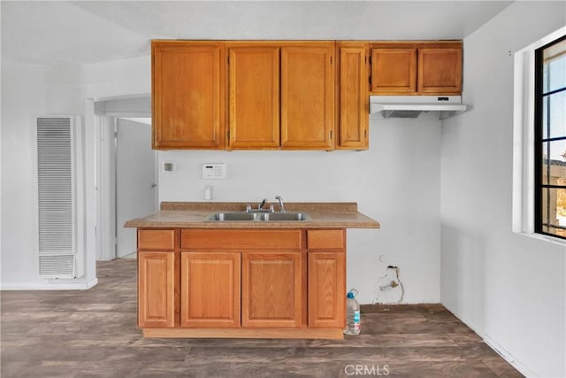 kitchen with dark hardwood / wood-style flooring and sink