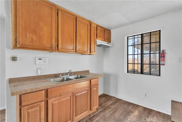 kitchen with dark hardwood / wood-style flooring, sink, and a textured ceiling