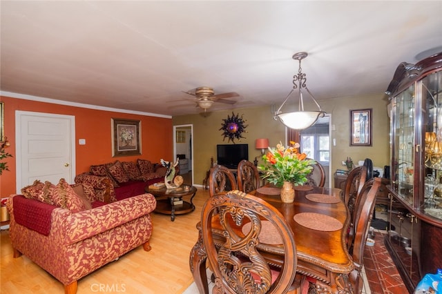 dining room featuring crown molding, hardwood / wood-style floors, and ceiling fan