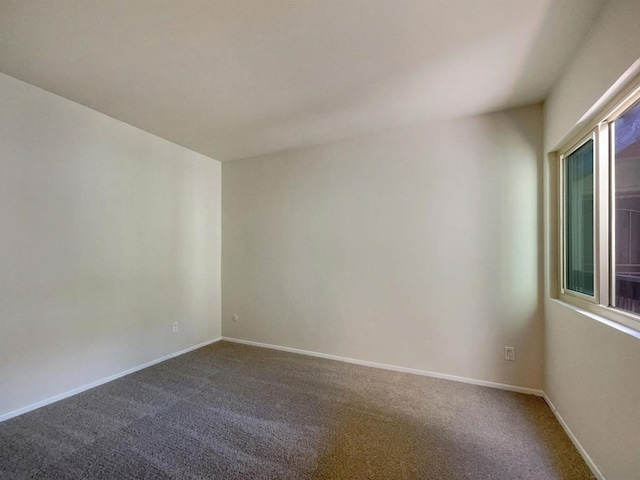 unfurnished room featuring carpet