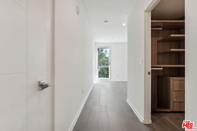 hallway featuring crown molding and dark hardwood / wood-style flooring