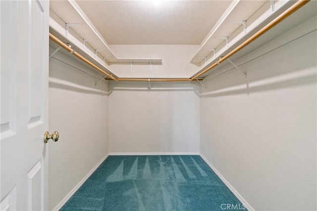 spacious closet with carpet floors