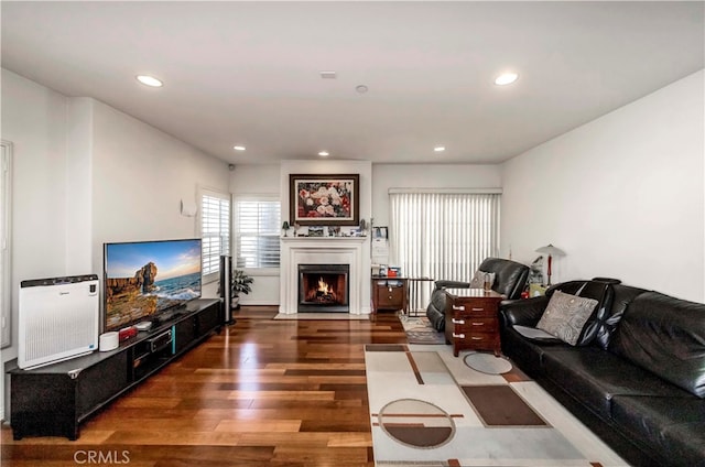 living room featuring dark hardwood / wood-style flooring